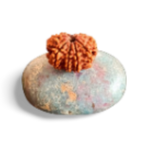 10 Mukhi Rudraksha Mantra & Wearing Process