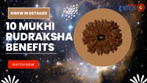 10 Mukhi Rudraksha; Benefits, Power, Mantra and Puja Vidhi Process