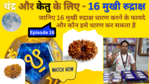 16 Mukhi Rudraksha: Benefits, Significance and Puja Vidhi